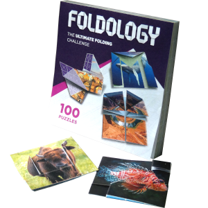 FOLDOLOGY - The Origami Puzzle Game! Hands-On Brain Teasers for